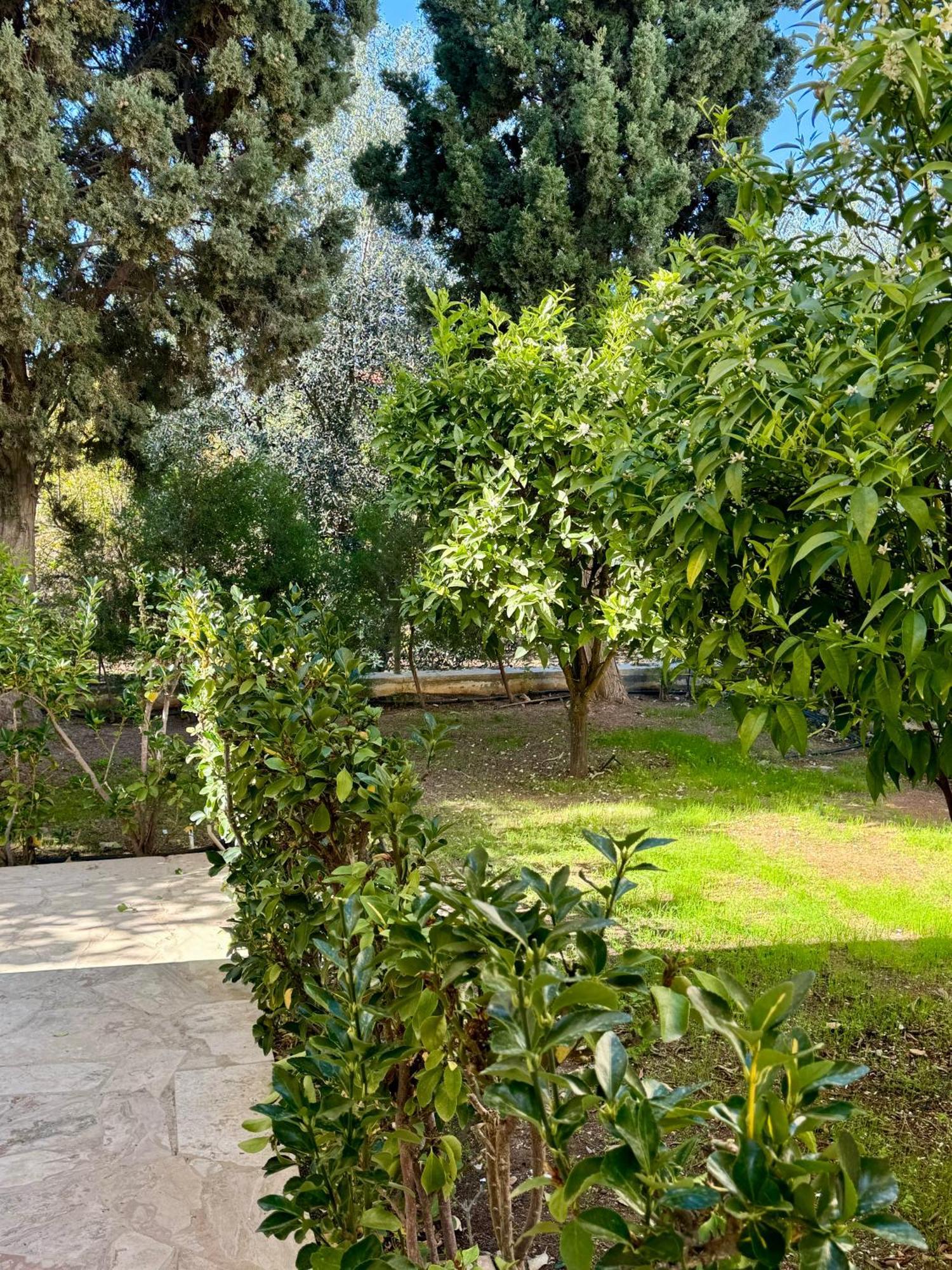 Villa Lorena Протарас Экстерьер фото